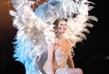 Dinner & Show at Lido - Menu Bonheur by Minibus